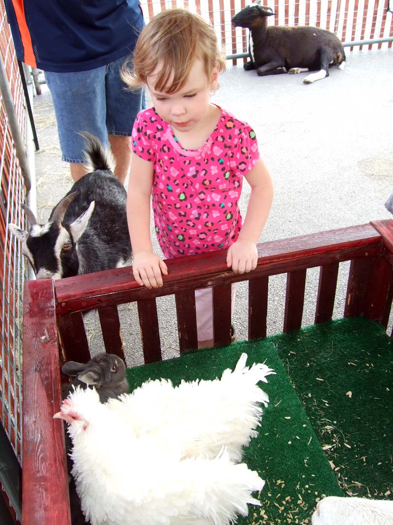 photo of a girl and farm animals